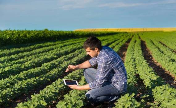 Program de formare pentru consilierii agricoli - agroexpert.md