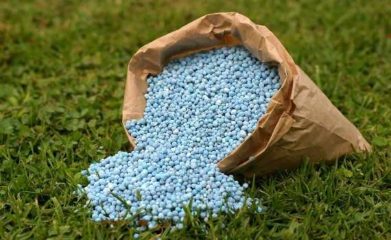 Польша предложила ЕК повысить пошлину на удобрения из РФ и Белоруссии - agroexpert.md