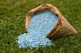 Польша предложила ЕК повысить пошлину на удобрения из РФ и Белоруссии - agroexpert.md