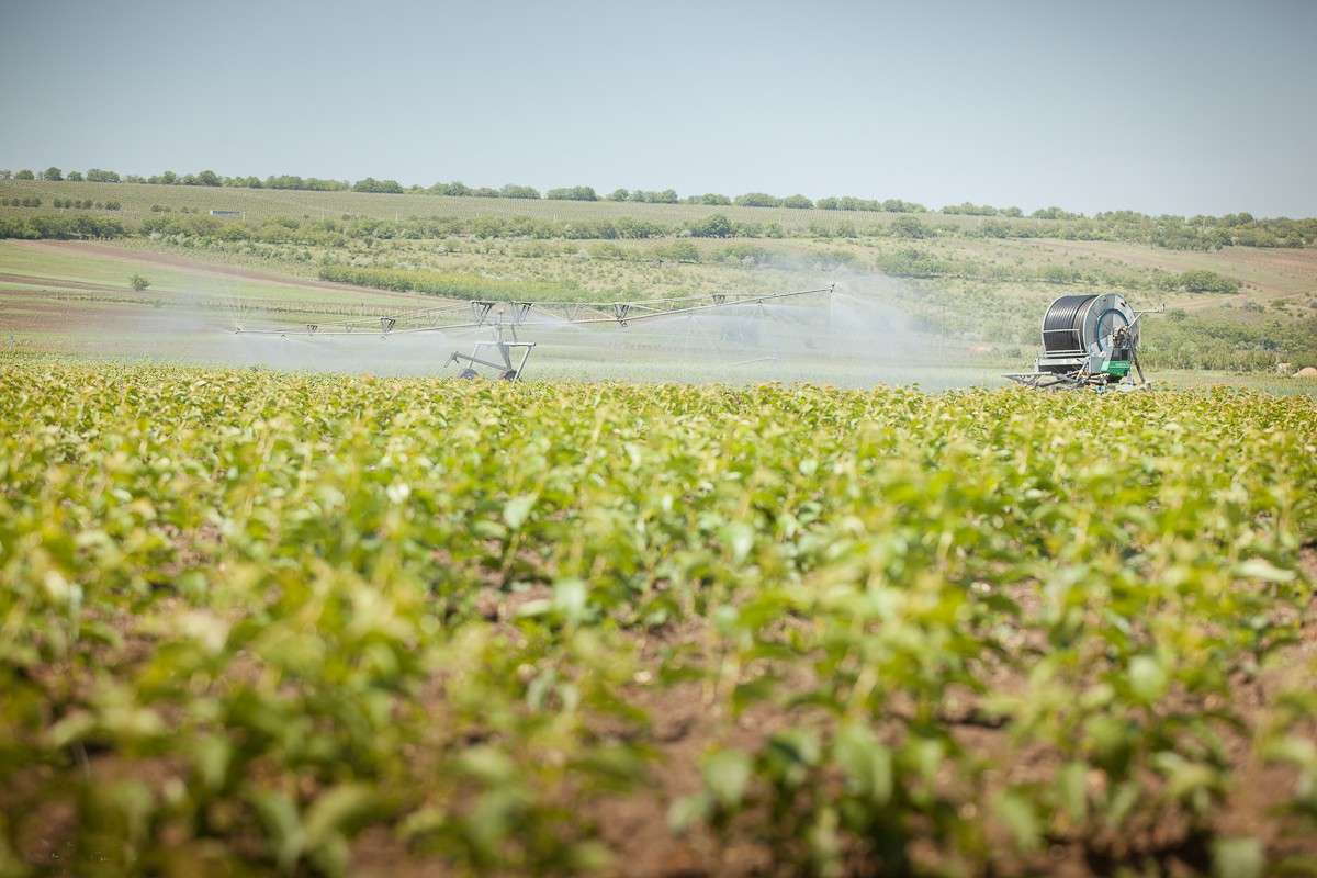 Vânzarea terenurilor agricole: Iată interdicțiile pentru străini - agroexpert.md