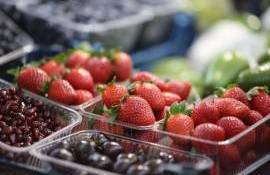 Un nou mecanism de subvenționare pentru producătorii de pomușoare - agroexpert.md