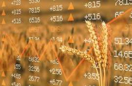 Цены на пшеницу в ЕС падают из-за внимания к алжирскому тендеру - agroexpert.md