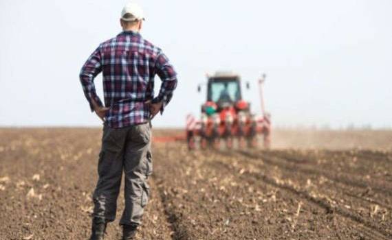 Modificarea legii cu privire la secetă - agroexpert.md