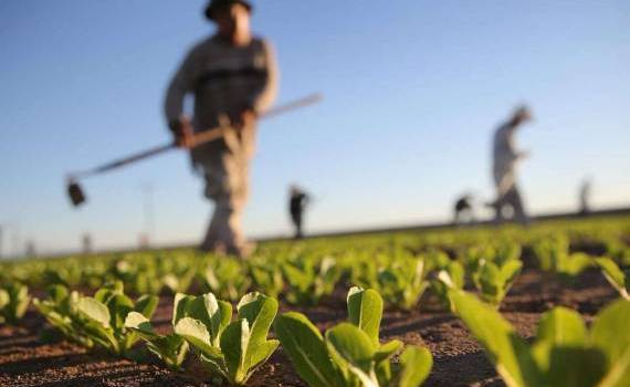 Din acest an, luna noiembrie devine luna agricultorului - agroexpert.md