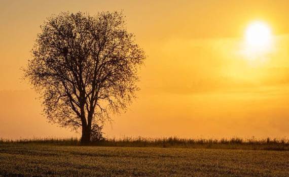 Ultima lună de toamnă va aduce temperaturi peste cele normale - agroexpert.md