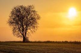 Ultima lună de toamnă va aduce temperaturi peste cele normale - agroexpert.md