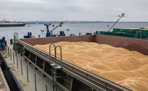 В РФ снизили прогноз экспорта пшеницы до трехлетнего минимума - agroexpert.md
