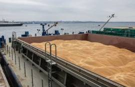 В РФ снизили прогноз экспорта пшеницы до трехлетнего минимума - agroexpert.md