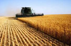 Producția agricolă din Republica Moldova, în scădere- agroexpert.md