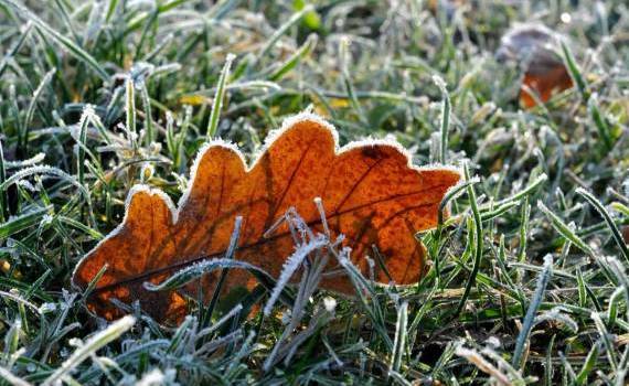 Vremea se răcește brusc: Meteorologii au emis Cod Galben - agroexpert.md