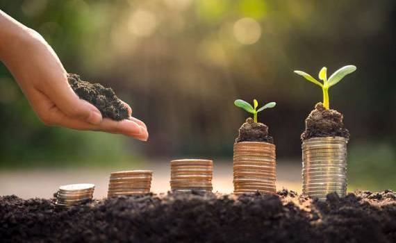 Granturi pentru managementul durabil al terenurilor - agroexpert.md