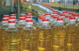 Мировой рынок растительных масел: сезон прошлый, прогнозы на 2024/25 МГ - agroexpert.md