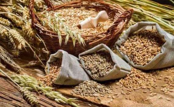 Анализ экспорта агропродовольственной продукции РМ за октябрь 2024 года - agroexpert.md