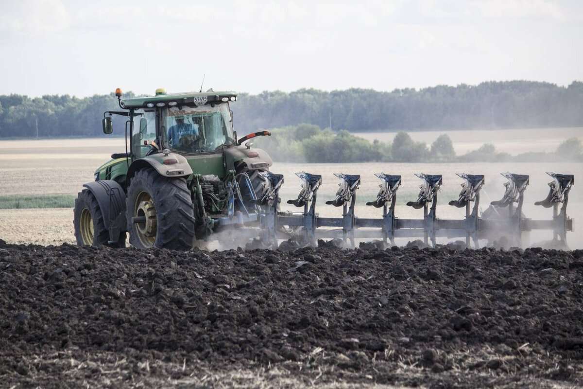 Principalele lucrări agricole din luna noiembrie - agroexpert.md