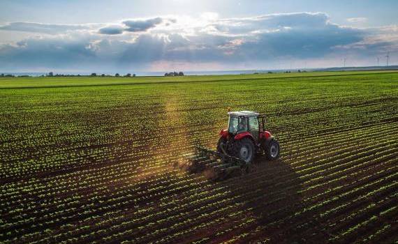 Instruiri privind agricultura conservativă: Unde va avea loc - agroexpert.md