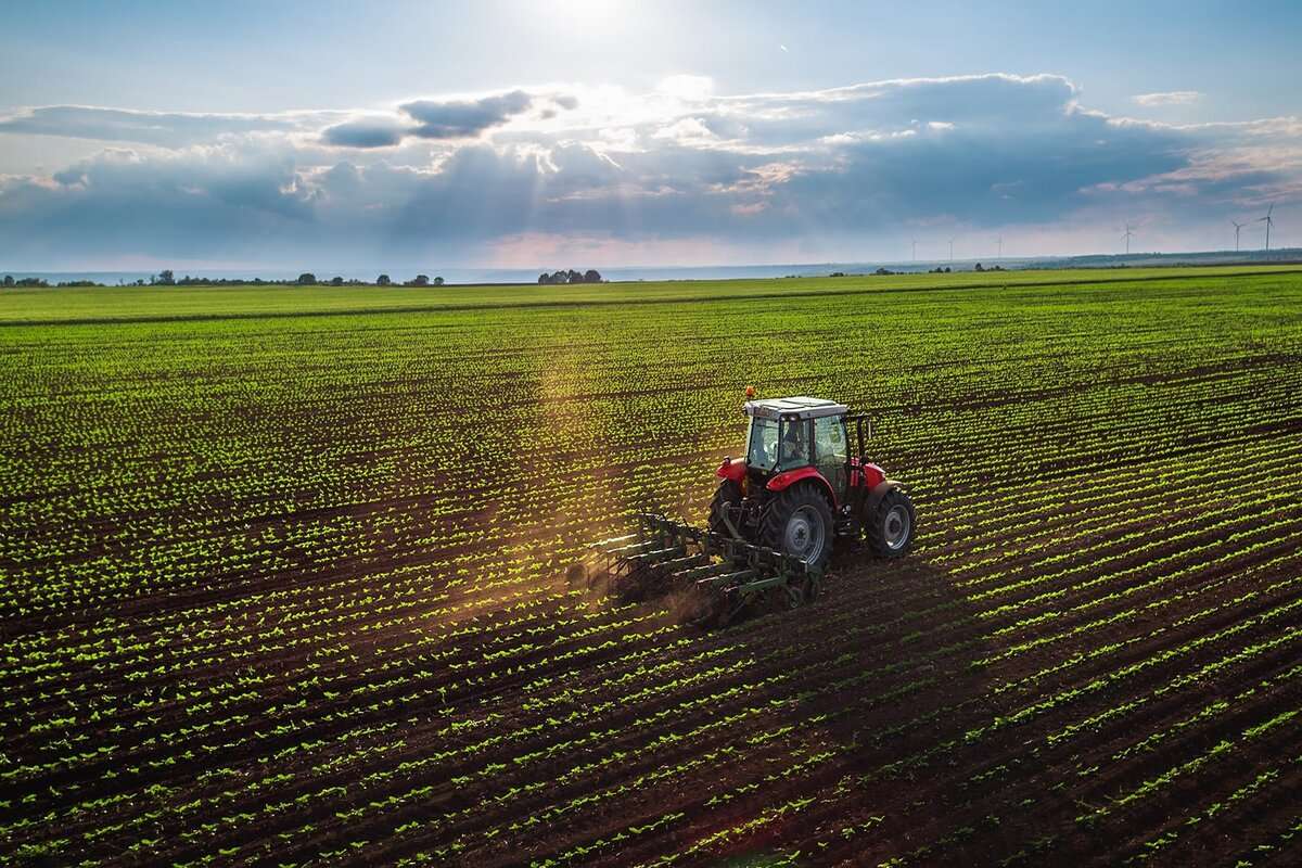 Instruiri privind agricultura conservativă: Unde va avea loc - agroexpert.md