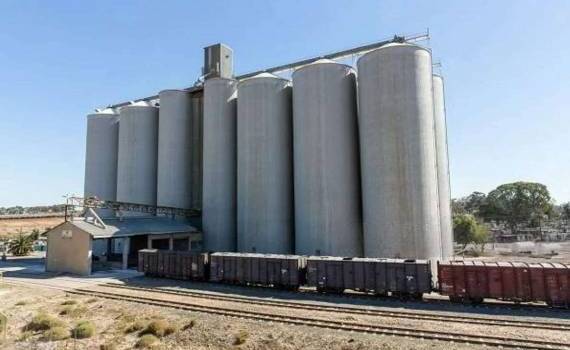За что украинским фермерам платят самые большие цены на элеваторах - agroexpert.md