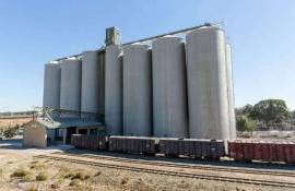 За что украинским фермерам платят самые большие цены на элеваторах - agroexpert.md