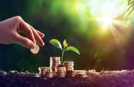 AIPA publică lista! Care fermieri afectați de secetă vor putea primi bani - agroexpert.md