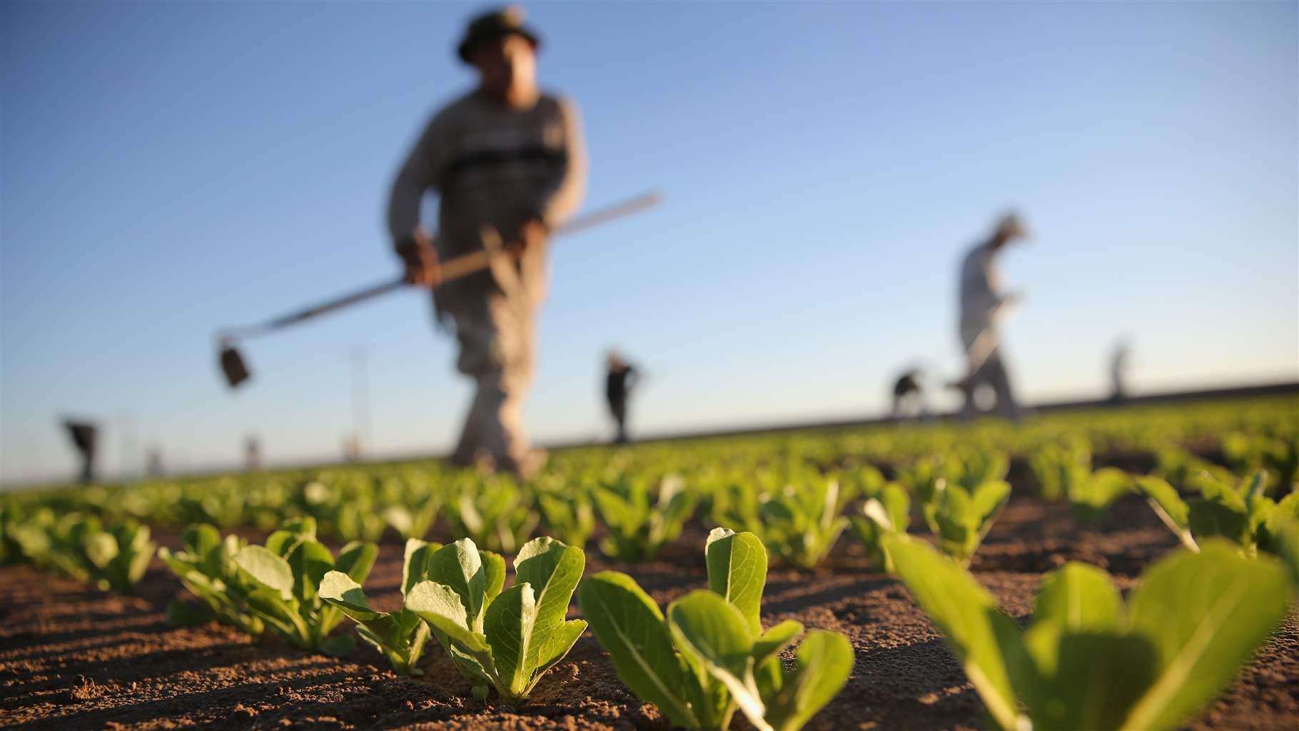 Instruirea destinată consilierilor agricoli - agroexpert.md