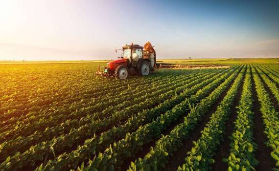 Producția agricolă din UE - agroexpert.md