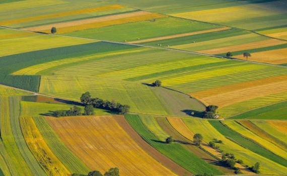 acte de proprietate pentru terenuri - agroexpert.md