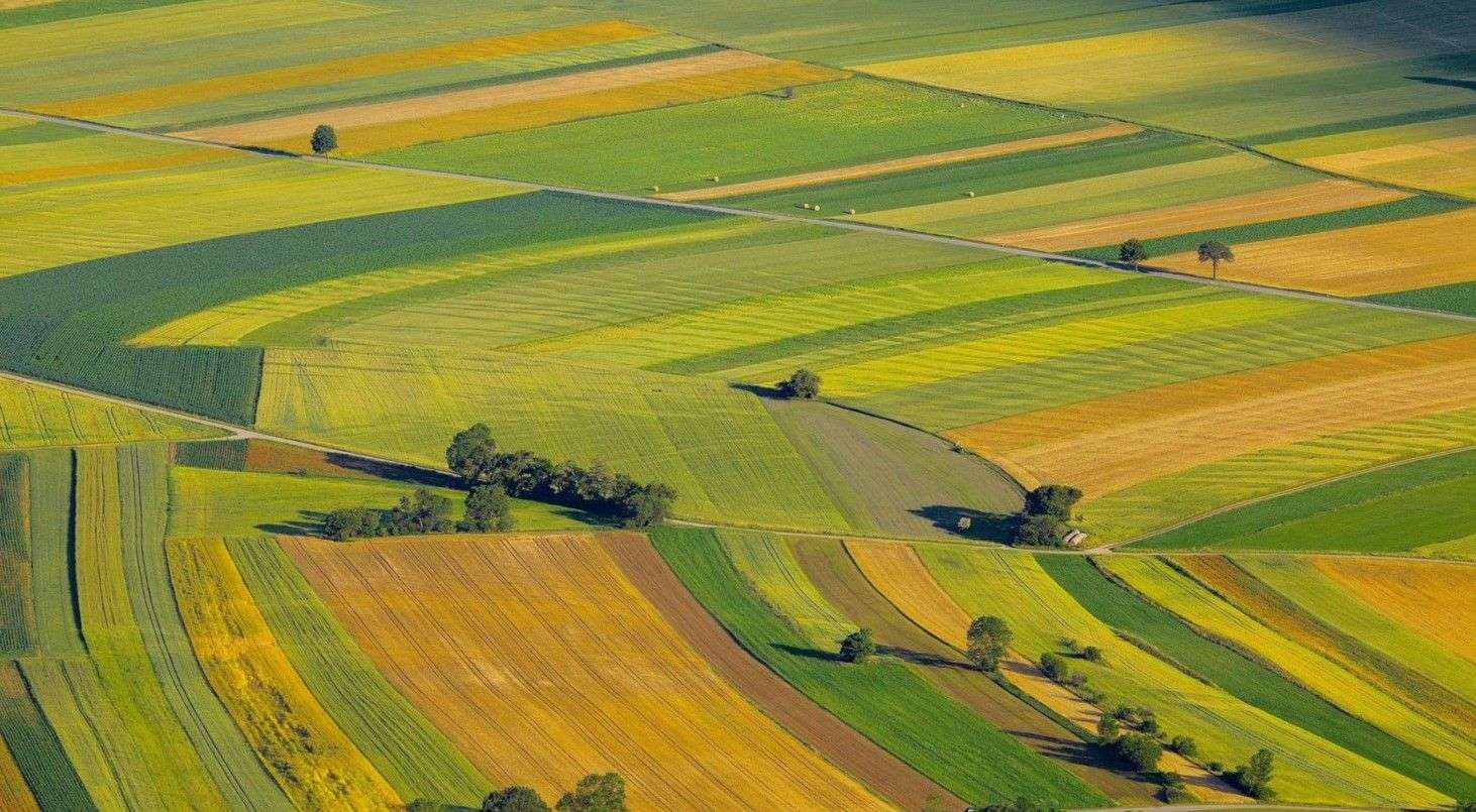 acte de proprietate pentru terenuri - agroexpert.md