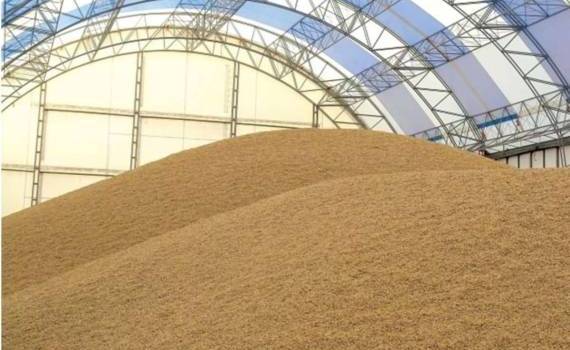 В Болгарии фермеры снова сели на зерно и отказываются продавать - agroexpert.md