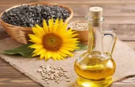 Высокая премия на подсолнечном масле остается, несмотря на падение цен - agroexpert.md