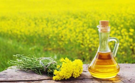 Котировки на рапс упали на ожиданиях снижения цен на растительные масла - agroexpert.md