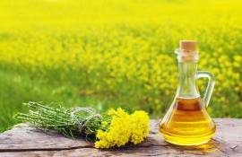 Котировки на рапс упали на ожиданиях снижения цен на растительные масла - agroexpert.md