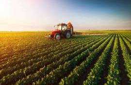 Sectorul agricol a beneficiat de 1,7 miliarde de lei în acest an - agroexpert.md