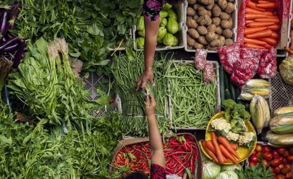 Corteva protecția sustenabilă a culturilor - agroexpert.md