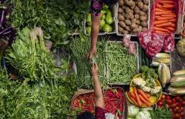 Corteva protecția sustenabilă a culturilor - agroexpert.md