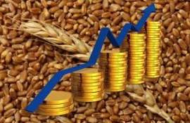 Мировой рынок зерна: пшеница, кукуруза и соя подешевели в четверг - agroexpert.md