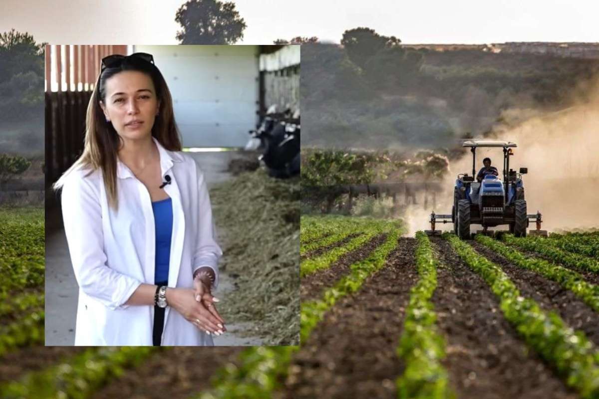 așteptările asociațiilor de profil de la noua ministră a Agriculturii - agroexpert.md