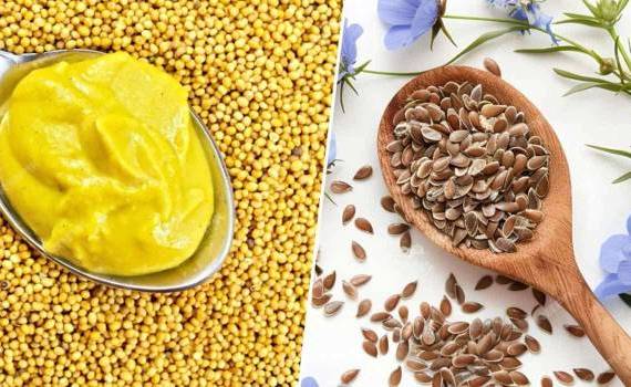 Экспорт семян горчицы и льна из РМ в октябре 2024 года - agroexpert.md