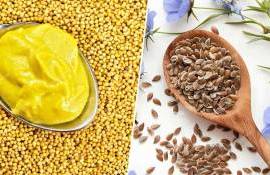 Экспорт семян горчицы и льна из РМ в октябре 2024 года - agroexpert.md