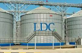 Один из ведущих мировых трейдеров Louis Dreyfus вышел из бизнеса в РФ - agroexpert.md