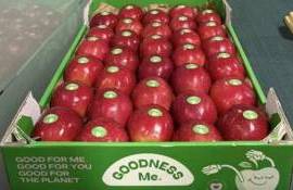 В Италии представлен новый сорт яблок устойчивый ко многим болезням - agroexpert.md