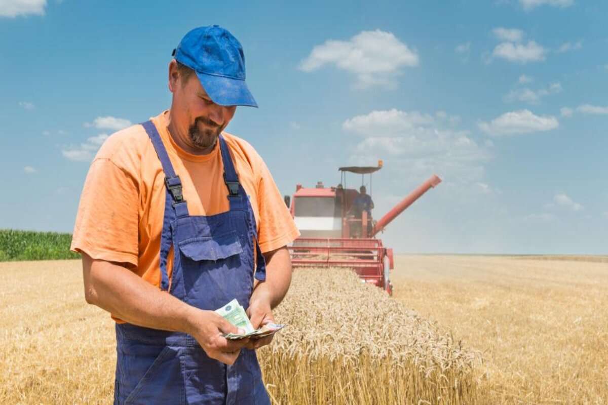 Cele mai mici salarii primesc angajații din agricultură - agroexpert.md