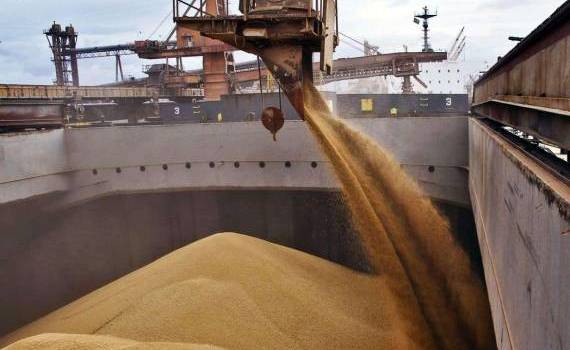 В РФ установлена квота на экспорт пшеницы в 2025 году - agroexpert.md