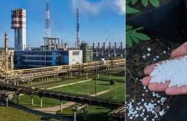 В ЕС производители удобрений в тупике. Основная причина - цена газа - agroexpert.md