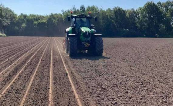 Скоро фермеры картошку будут не высаживать, а сеять — опыт уже есть - agroexpert.md