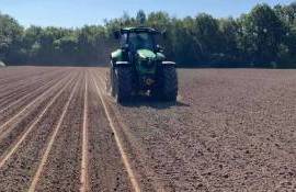 Скоро фермеры картошку будут не высаживать, а сеять — опыт уже есть - agroexpert.md