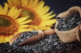 Top exportatori și importatori de semințe de floarea-soarelui din RM - agroexpert.md