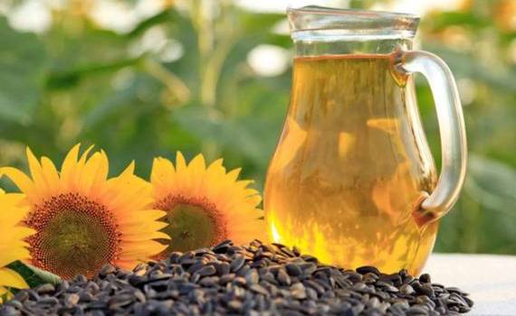 Declin în exportul de ulei de floarea-soarelui: Livrările s-au redus de 3 ori - agroexpert.md