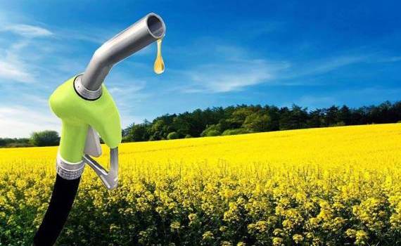 Corteva с BP объединяют усилия по разработки сырья для экологичного топлива - agroexpert.md