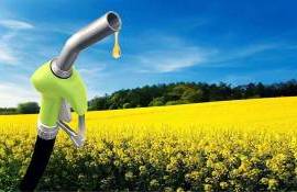 Corteva с BP объединяют усилия по разработки сырья для экологичного топлива - agroexpert.md