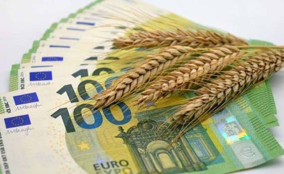 Цена пшеницы на Euronext выросла на фоне прогноза снижения запасов кукурузы - agroexpert.md